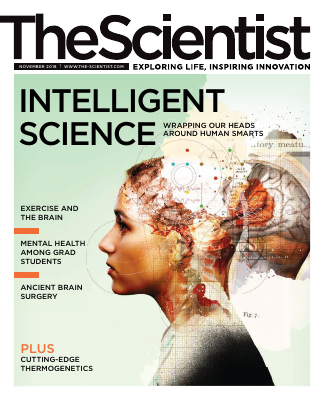 The_Scientist_2018_11.pdf